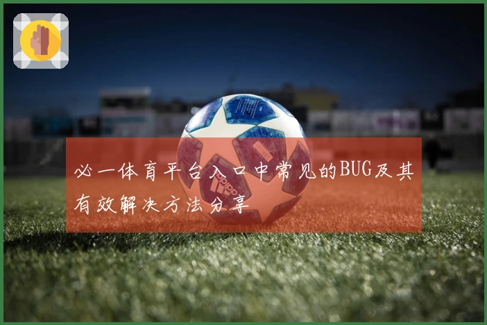必一体育平台入口中常见的BUG及其有效解决方法分享