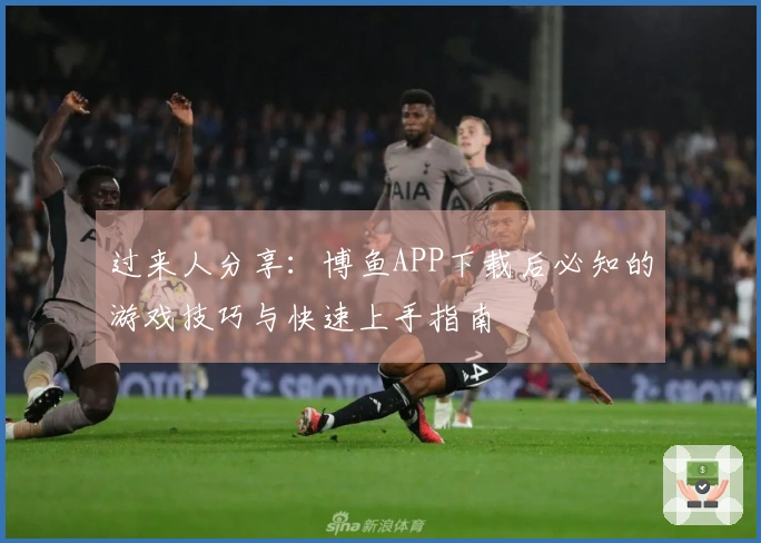 过来人分享：博鱼APP下载后必知的游戏技巧与快速上手指南