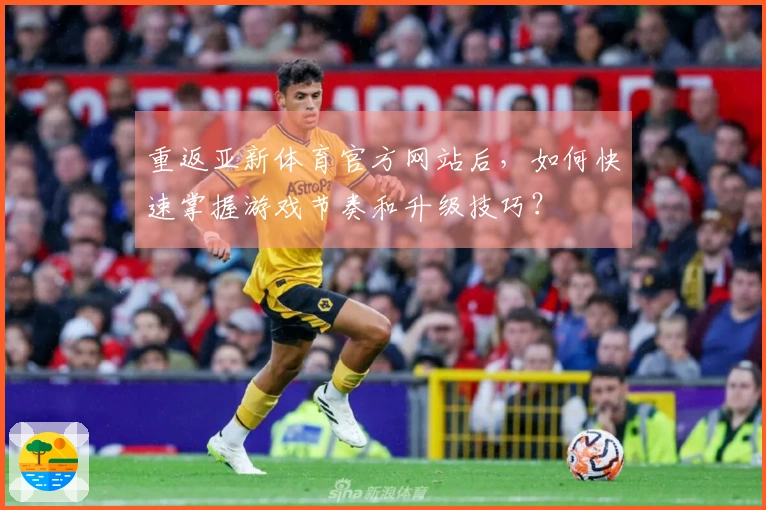 重返亚新体育官方网站后，如何快速掌握游戏节奏和升级技巧？