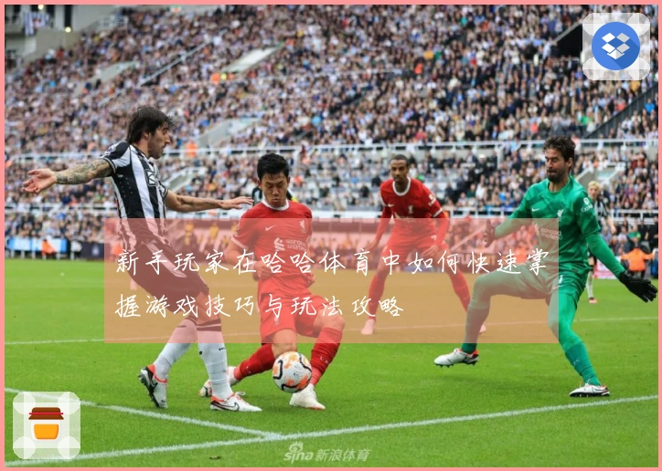 新手玩家在哈哈体育中如何快速掌握游戏技巧与玩法攻略